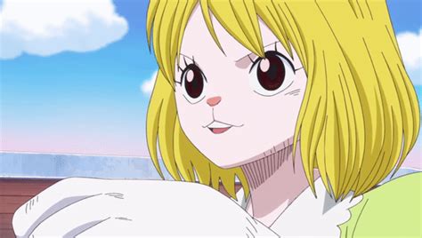 hentai one piece carrot|Character: carrot (popular) » nhentai